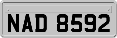 NAD8592