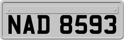 NAD8593