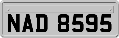 NAD8595