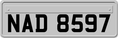 NAD8597