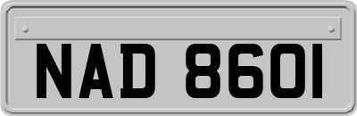 NAD8601