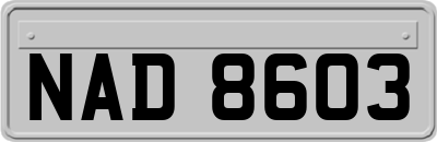 NAD8603