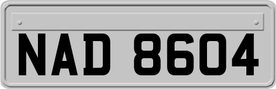 NAD8604