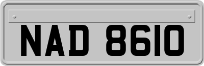 NAD8610