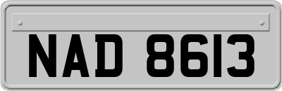 NAD8613