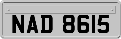 NAD8615