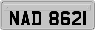 NAD8621