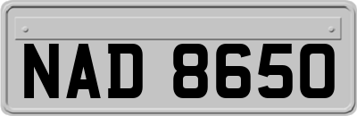 NAD8650