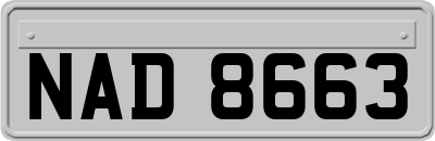 NAD8663