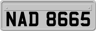 NAD8665