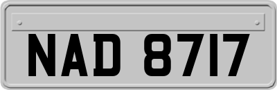 NAD8717