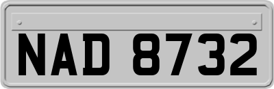 NAD8732