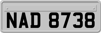 NAD8738