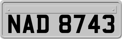 NAD8743