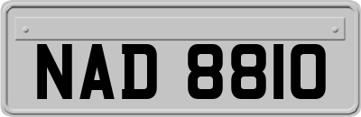NAD8810