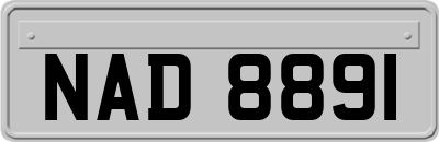 NAD8891