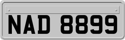 NAD8899