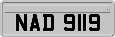 NAD9119