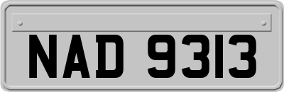 NAD9313