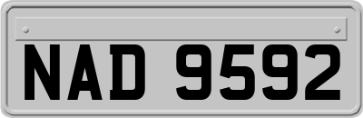 NAD9592