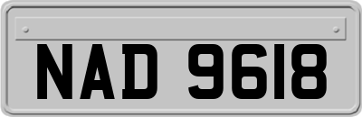 NAD9618