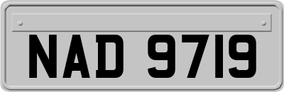 NAD9719