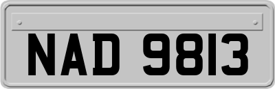 NAD9813