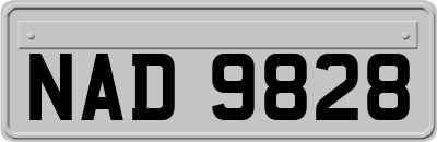 NAD9828