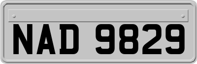 NAD9829