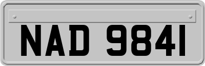 NAD9841