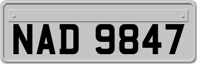 NAD9847