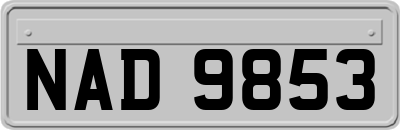 NAD9853