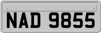 NAD9855