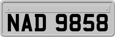 NAD9858