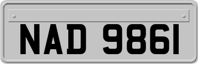 NAD9861