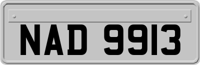 NAD9913