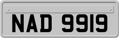 NAD9919