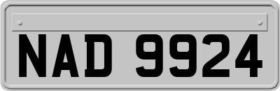 NAD9924