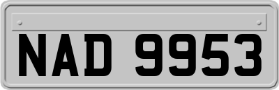 NAD9953