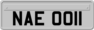 NAE0011