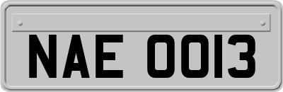 NAE0013