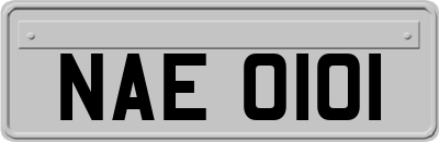 NAE0101