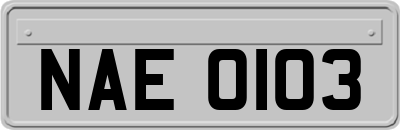 NAE0103