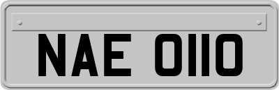 NAE0110