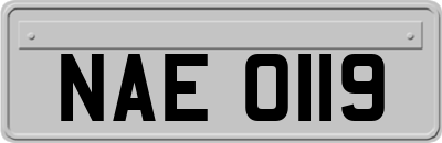 NAE0119