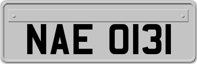 NAE0131