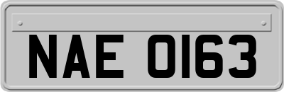 NAE0163