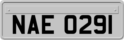 NAE0291