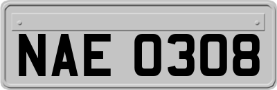 NAE0308