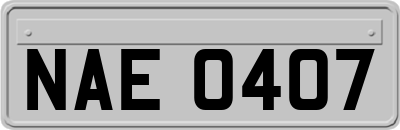 NAE0407